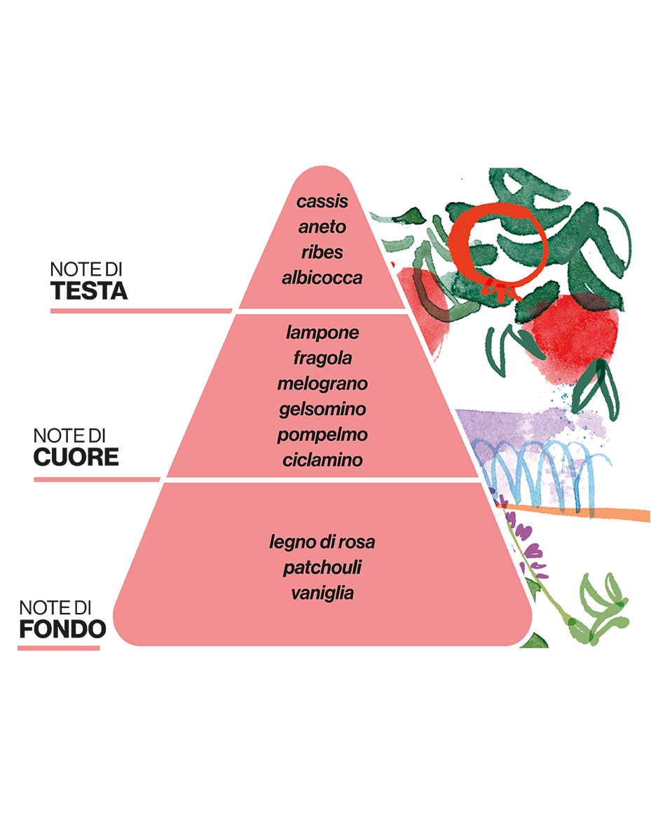 Diffusore per Ambienti LA TERRAZZA DEI MELOGRANI - Melograno e Patchouli - DOMEA PAESAGGI OLFATTIVI
