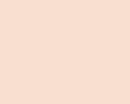 BB Cream 01