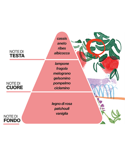 Diffusore per Ambienti LA TERRAZZA DEI MELOGRANI - Melograno e Patchouli - DOMEA PAESAGGI OLFATTIVI