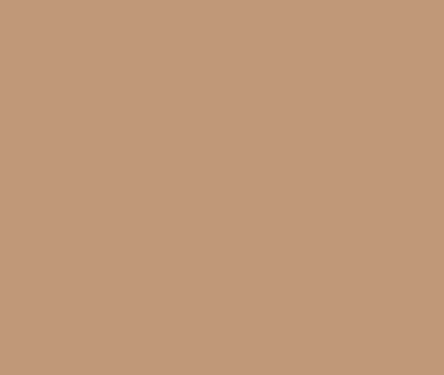 BB Cream 04